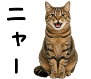 878016999