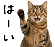 878017001