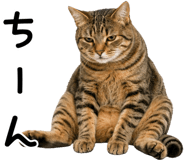 878017024