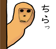 878018121