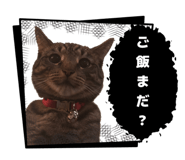 878039851