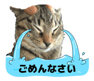 878039854