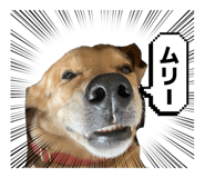 878039856