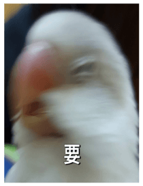 878052216