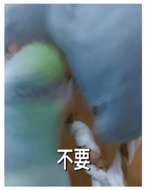 878052217