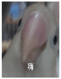 878052220