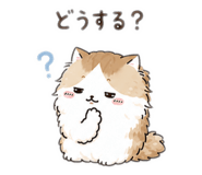 878056986