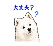 878060554