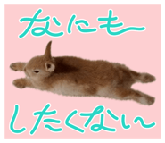 878062531