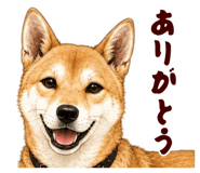 878067032