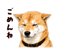 878067036