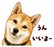 878067039