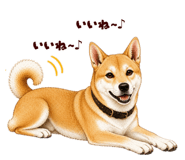 878067043