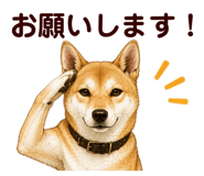878067044