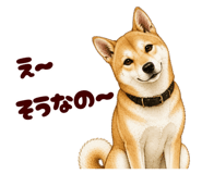878067045