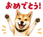 878067048