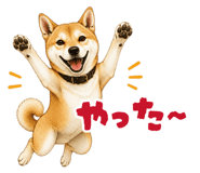 878067049