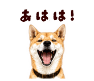 878067052
