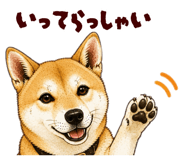 878067058