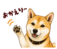 878067059