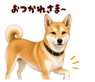 878067060