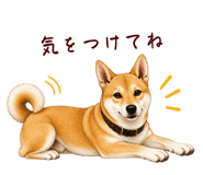 878067062