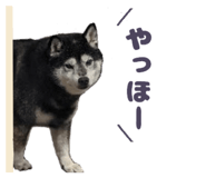 878067424
