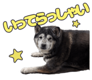 878067426