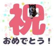 878067433