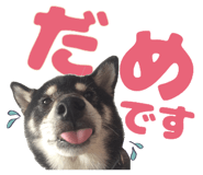 878067438