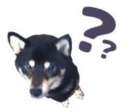 878067441