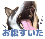 878067448