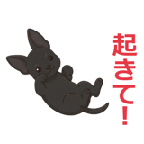 878113859