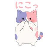 878114037