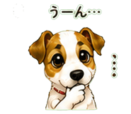 878114256