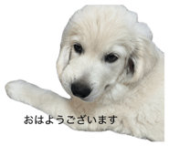 878118465