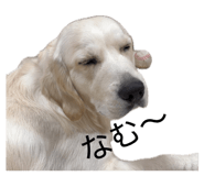 878118467