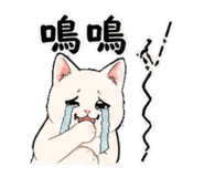 878120762