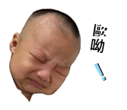 878125245