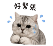 878133918