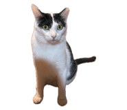 878137178