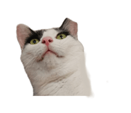878137415