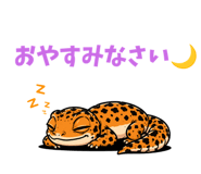 878147496
