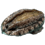 878147545