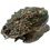 878147546