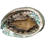 878147548