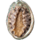 878147552