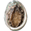 878147553