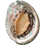 878147554