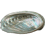878147558